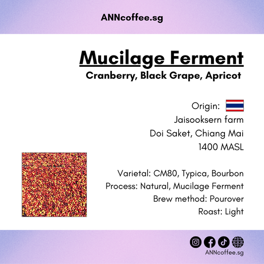 Mucilage Ferment (filter) - cranberry, black grape, apricot