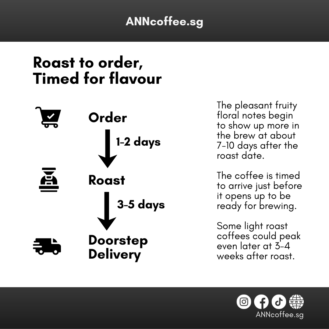 6 packs set filter pourover