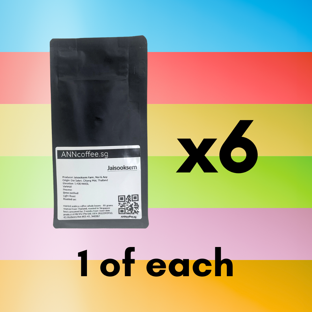 6 packs set filter pourover