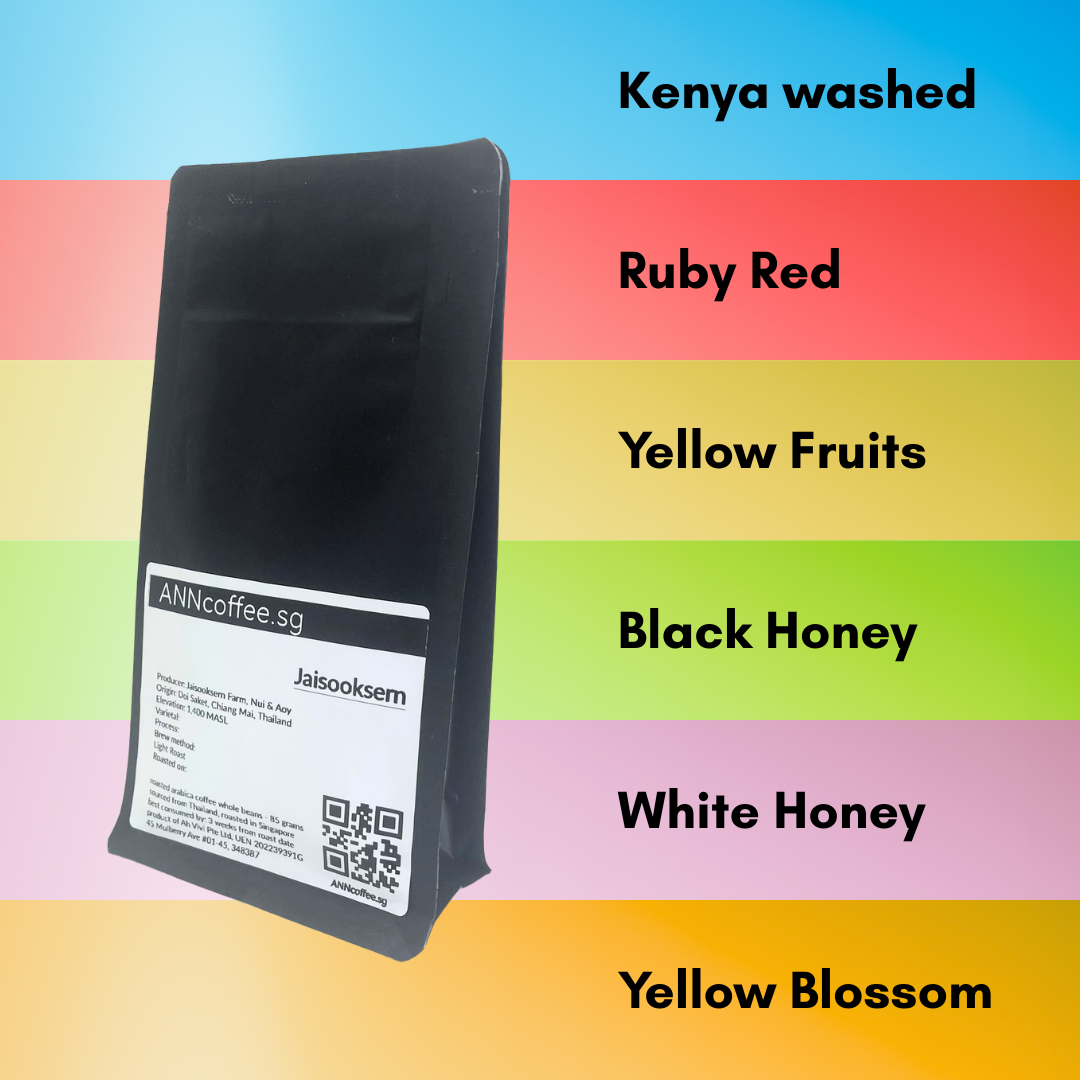 6 packs set filter pourover